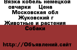 Вязка кобель немецкой овчарки. › Цена ­ 10 - Московская обл., Жуковский г. Животные и растения » Собаки   